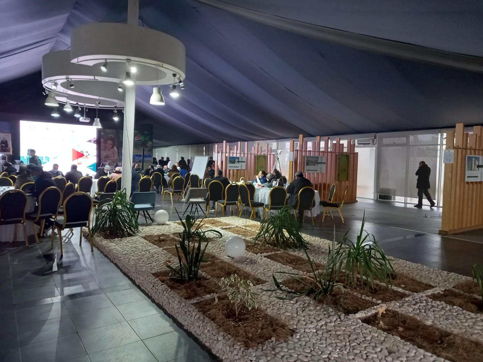 1640441288567472.jpeg T3.jpeg